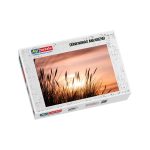 Puzzle Dünengras am Abend