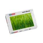 Puzzle Gerste im Detail