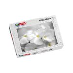 Puzzle Weisser Phlox