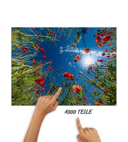Puzzle im Mohnfeld