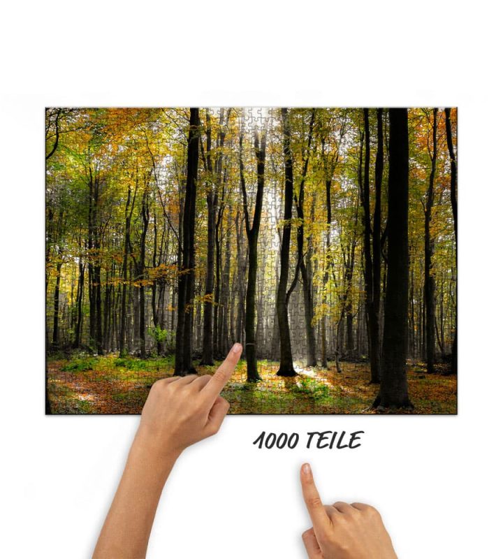 Puzzle Licht im Buchenwald