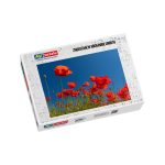 Puzzle zwischen Mohnblumen