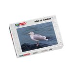 Puzzle Möwe auf der Lauer