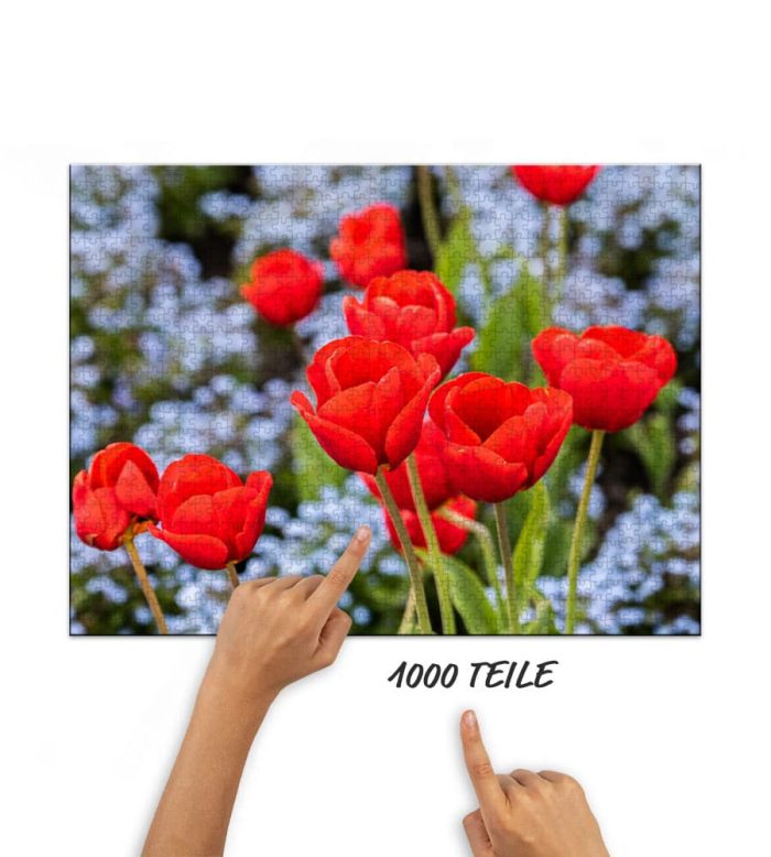 Puzzle in den Tulpen
