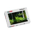 Puzzle Farn im Wald