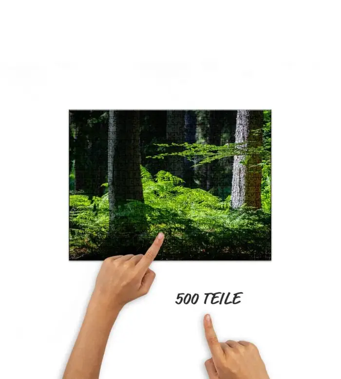Puzzle Farn im Wald