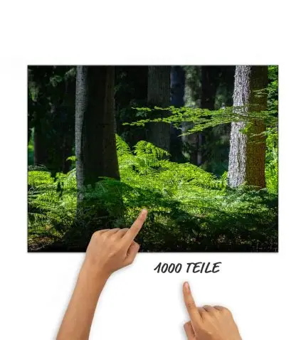 Puzzle Farn im Wald