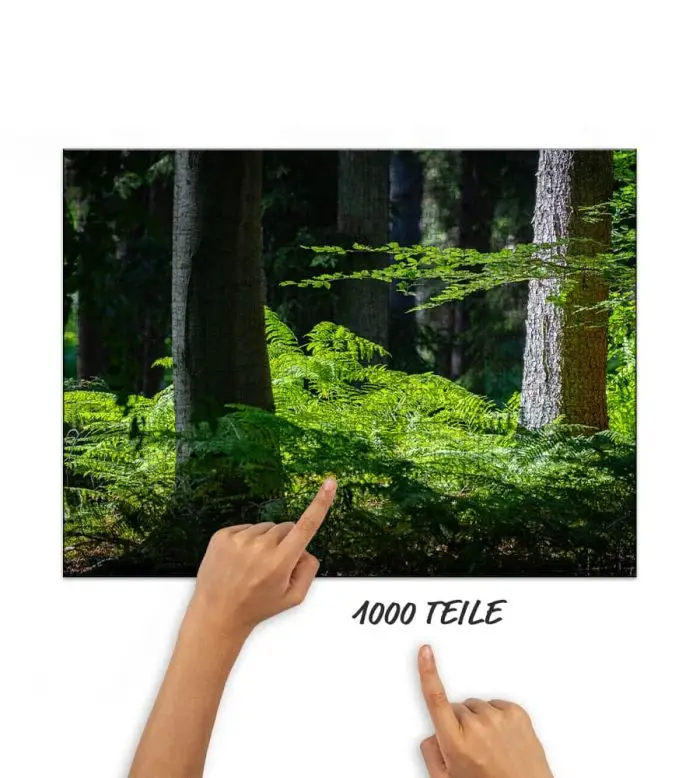 Puzzle Farn im Wald