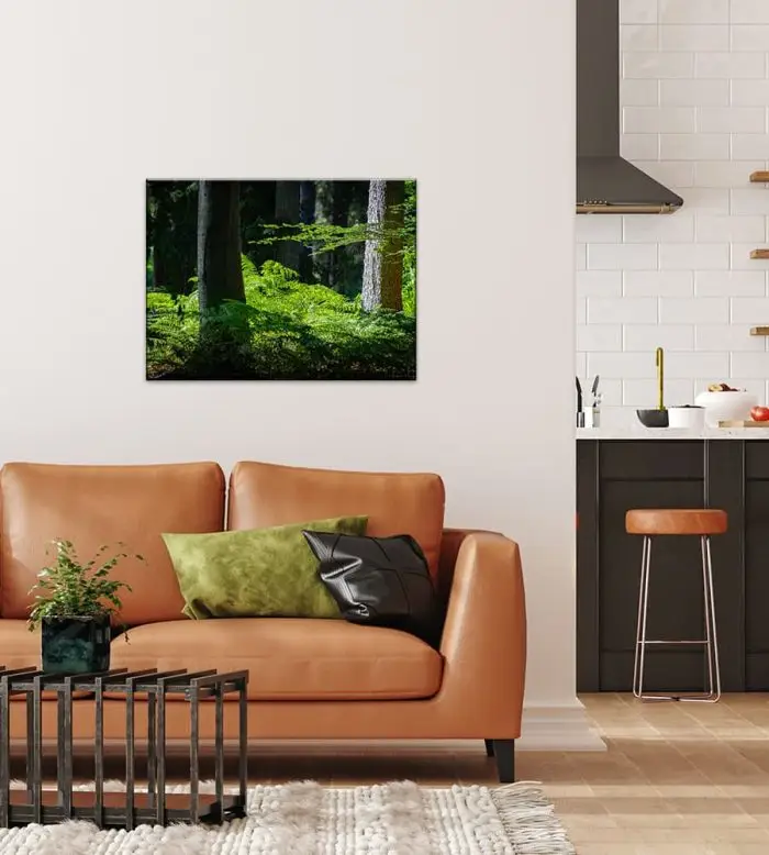 Puzzle Farn im Wald