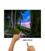 Puzzle kleiner Wald Heiligendamm