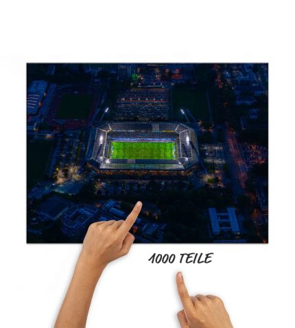 Puzzle Flutlicht-Doppel am Ostseestadion